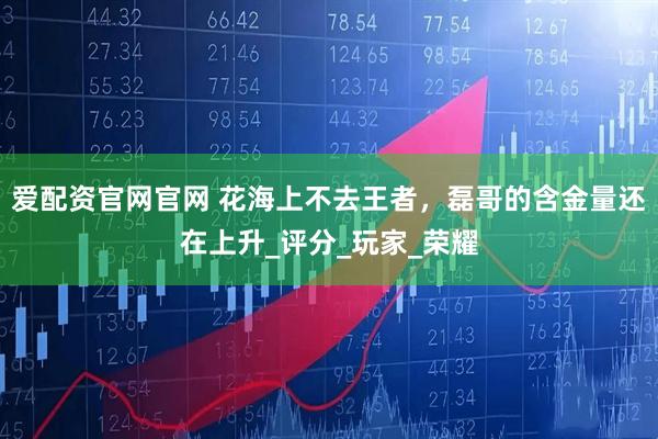 爱配资官网官网 花海上不去王者，磊哥的含金量还在上升_评分_玩家_荣耀