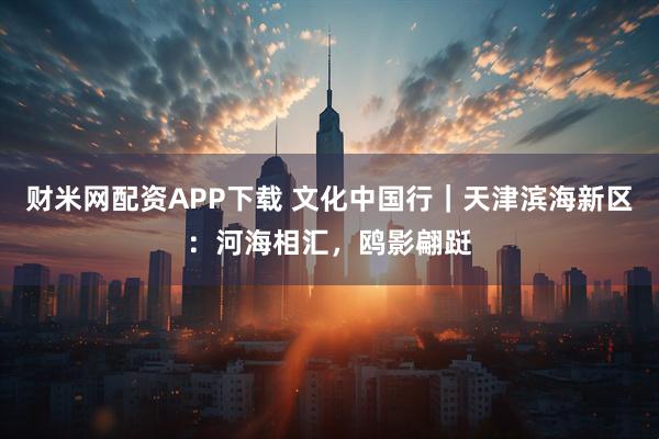 财米网配资APP下载 文化中国行｜天津滨海新区：河海相汇，鸥影翩跹