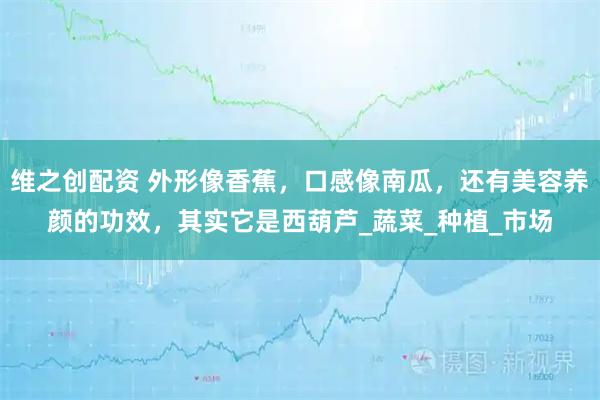 维之创配资 外形像香蕉，口感像南瓜，还有美容养颜的功效，其实它是西葫芦_蔬菜_种植_市场